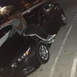 Meet your Posher, Dante